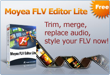 moyea flv editor lite beta