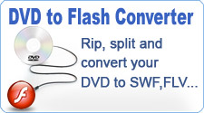DVD to Flash