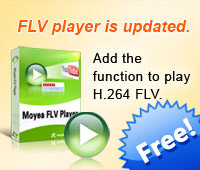 FLV player is updated. Add the function to play H.264 FLV.